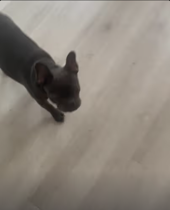 It’s Cleanup Time !